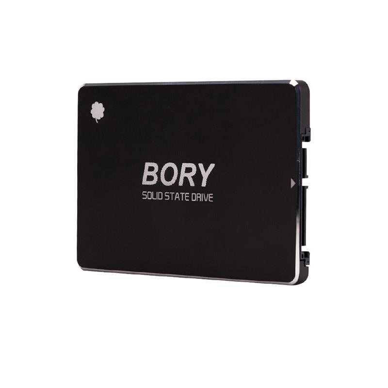 256 GB BORY SATA3 R500-C256G SSD 550/510 MBS (3 YIL GARANTİLİ) 