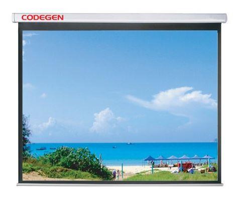 CODEGEN AX-24 240X200 STORLU PERDE 