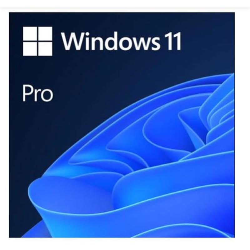 MS WINDOWS 11 PRO 32/64 BIT TR KUTU USB HAV-00159 